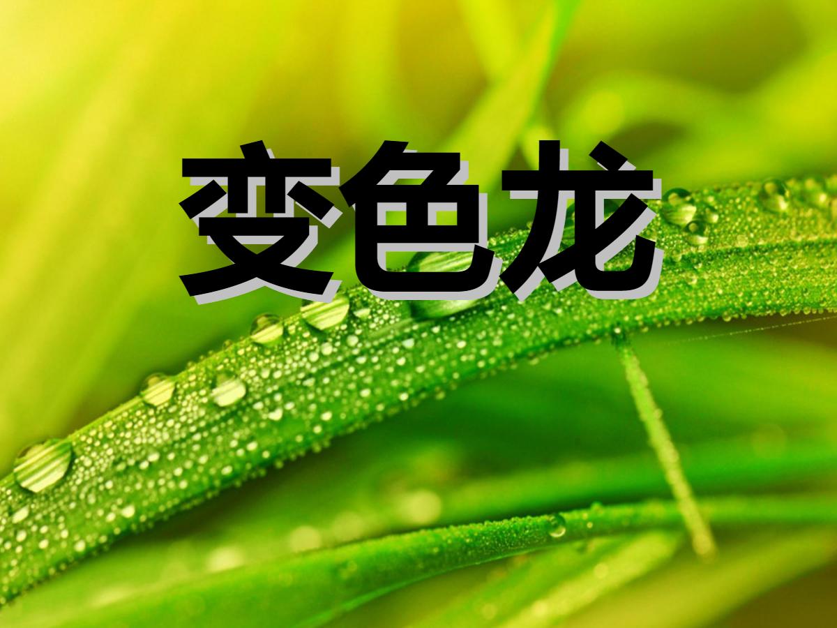 《变色龙》PPT课件2