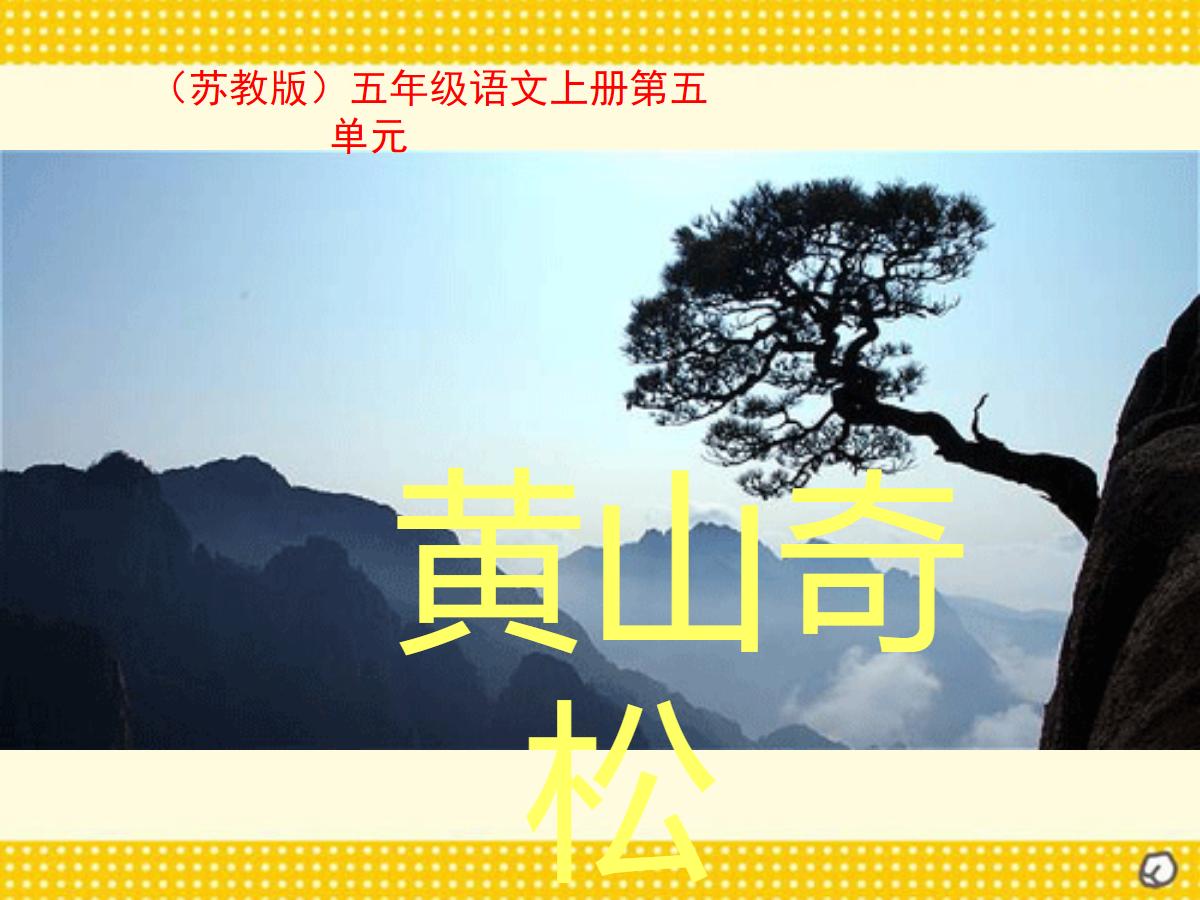 《黄山奇松》PPT课件