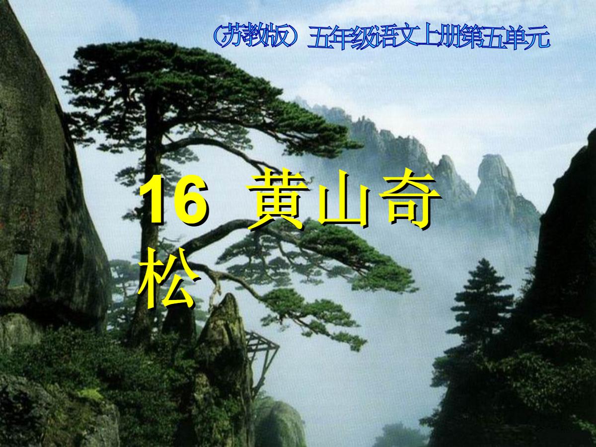 《黄山奇松》PPT课件2