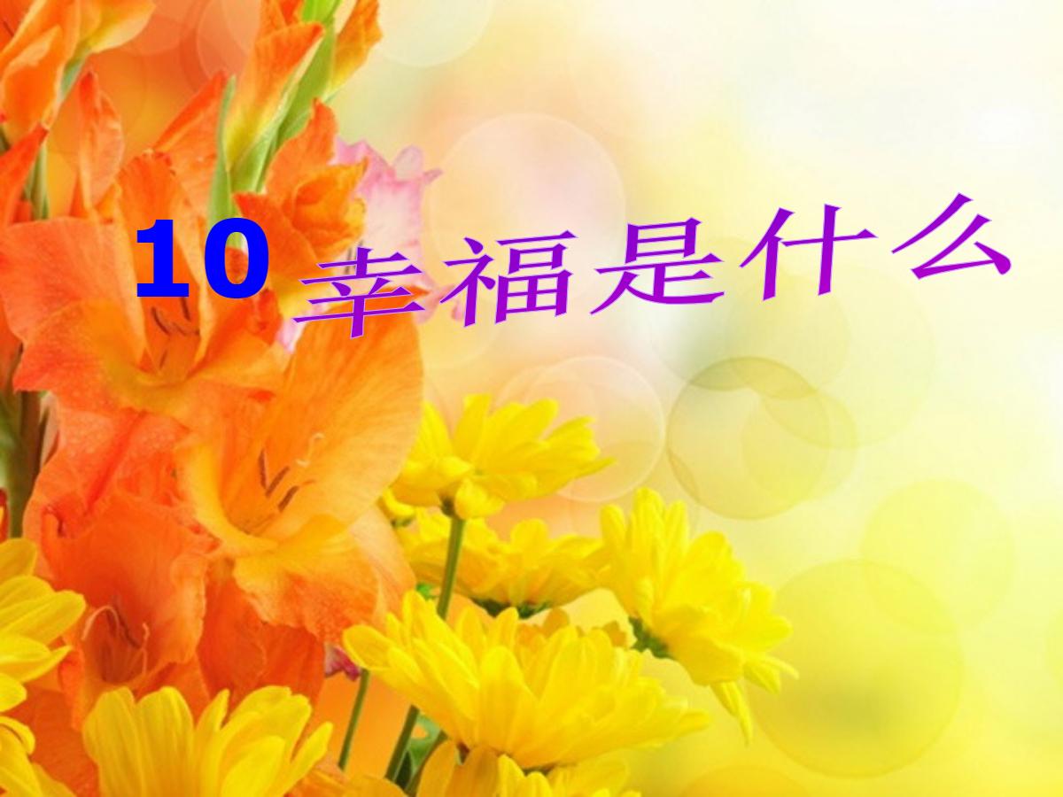 《幸福是什么》PPT教学课件下载4