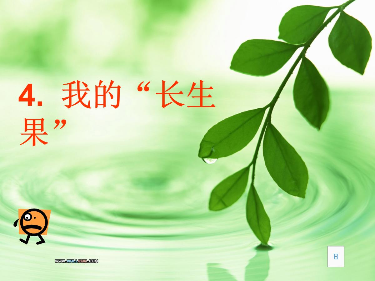《我的“长生果”》PPT课件下载5
