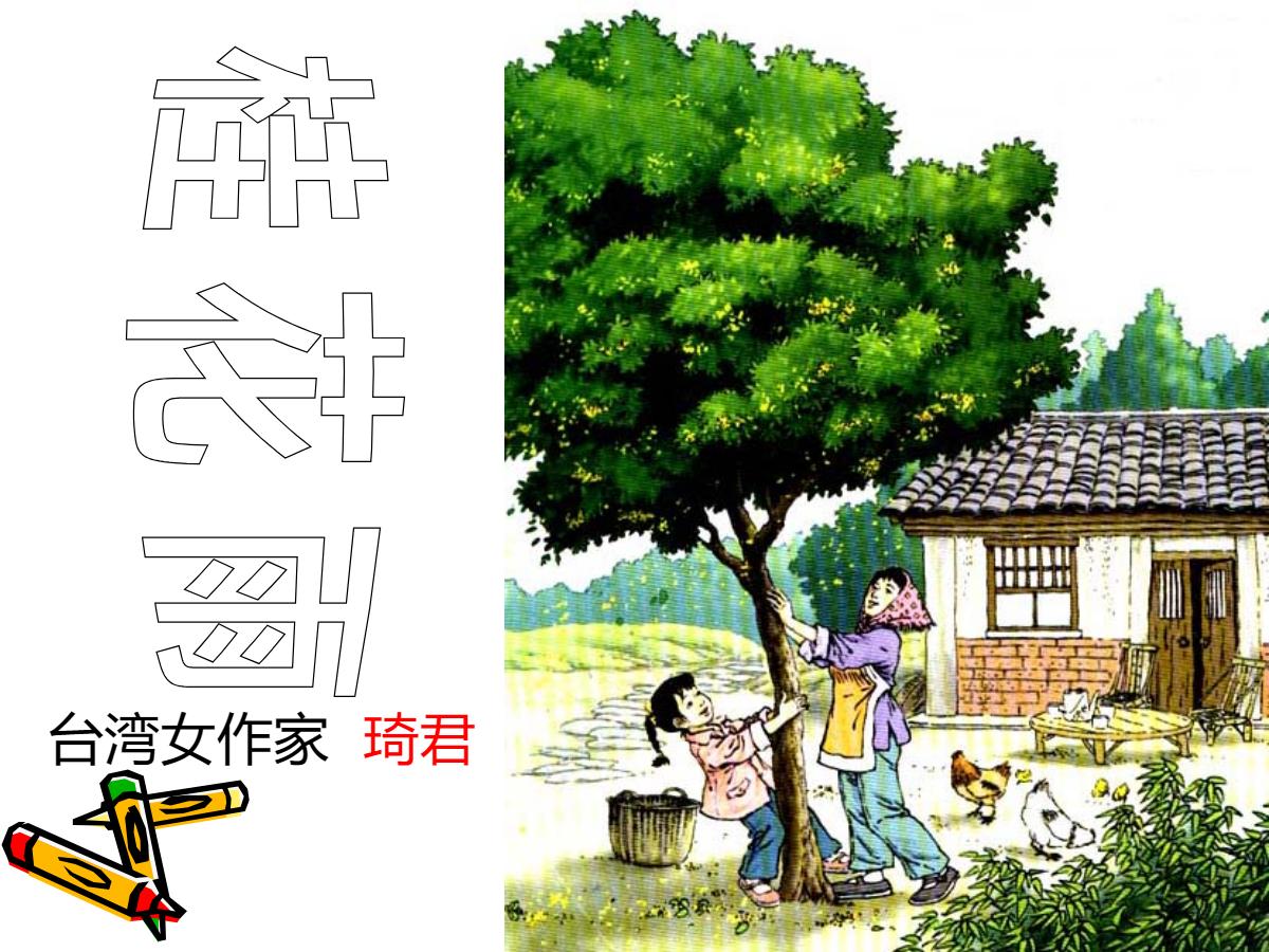 《桂花雨》PPT课件下载5