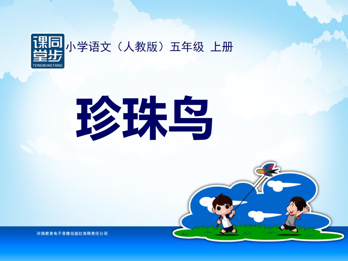 《珍珠鸟》PPT课件下载5