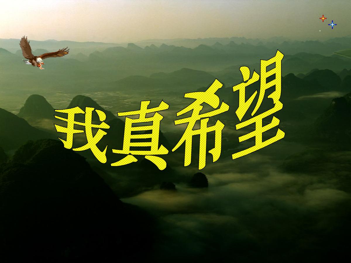 《我真希望》PPT课件2