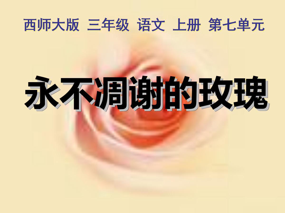 《永不凋谢的玫瑰》PPT课件2