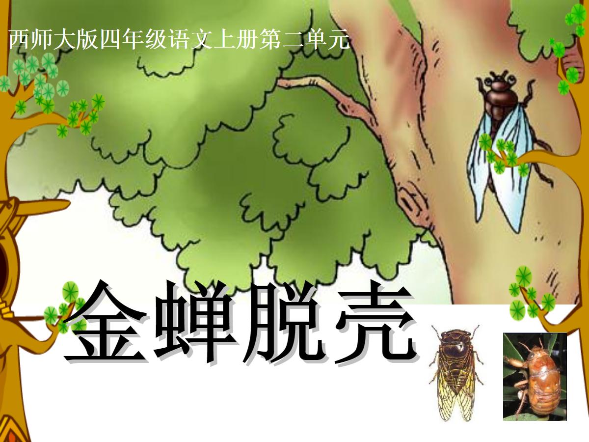 《金蝉脱壳》PPT课件3