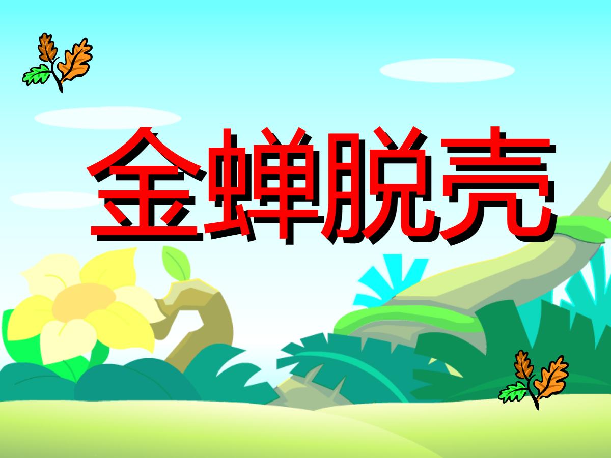 《金蝉脱壳》PPT课件5