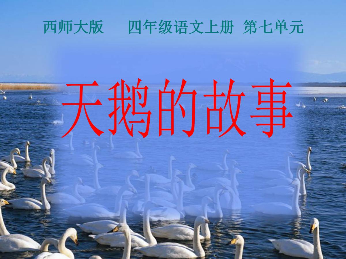 《天鹅的故事》PPT课件