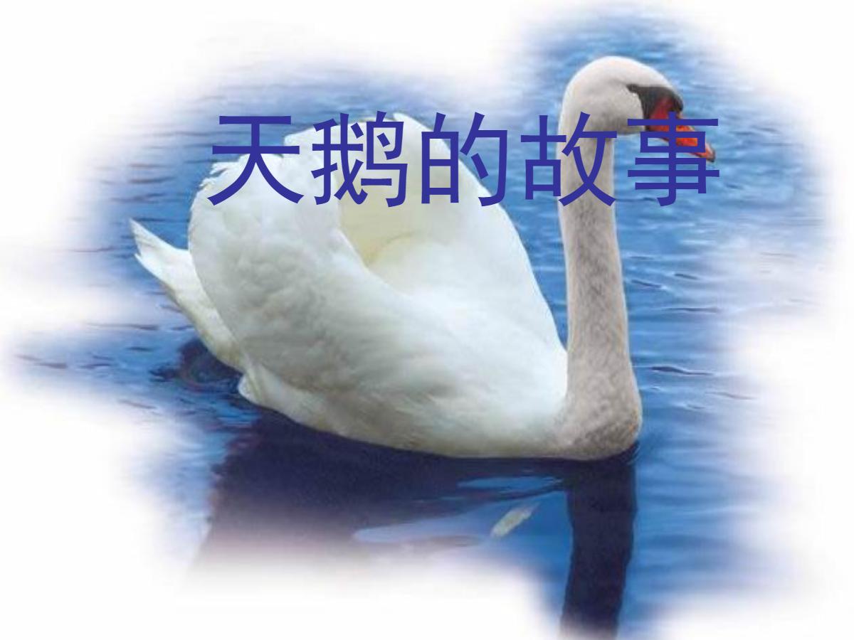 《天鹅的故事》PPT课件3