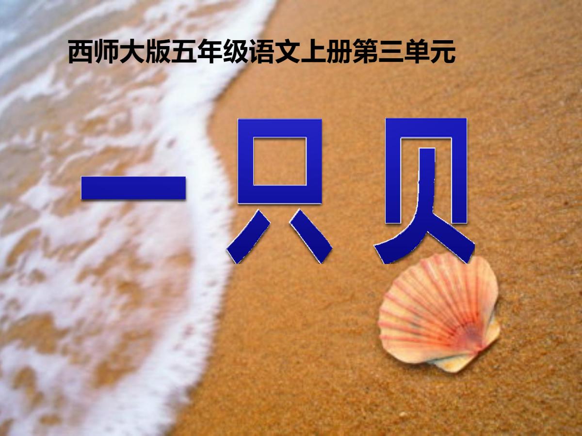 《一只贝》PPT课件