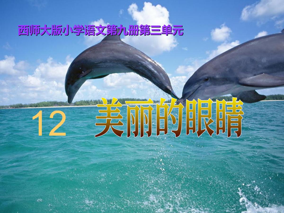 《美丽的眼睛》PPT课件