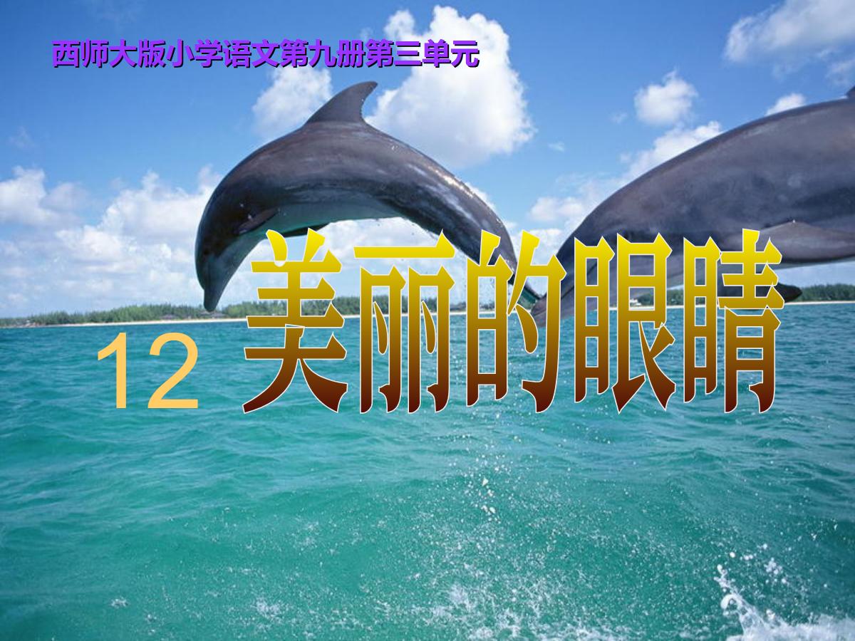 《美丽的眼睛》PPT课件3