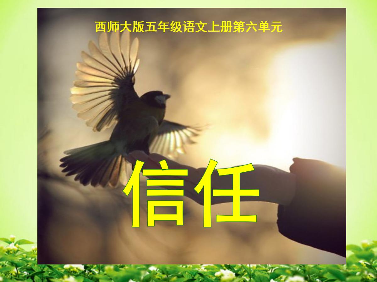 《信任》PPT课件