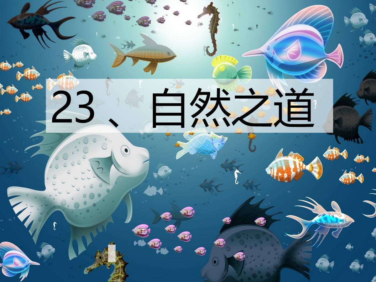 《自然之道》PPT课件2