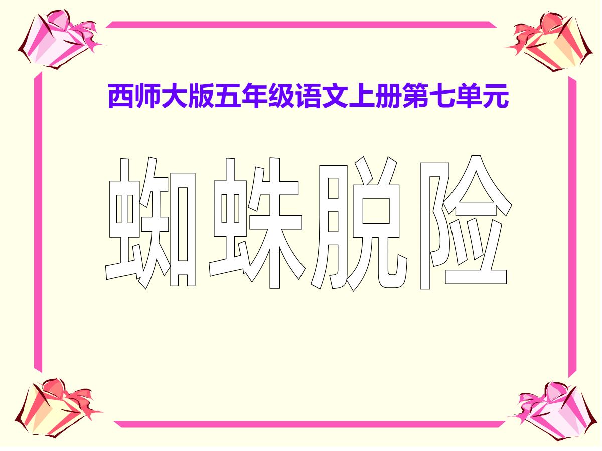 《蜘蛛脱险》PPT课件3