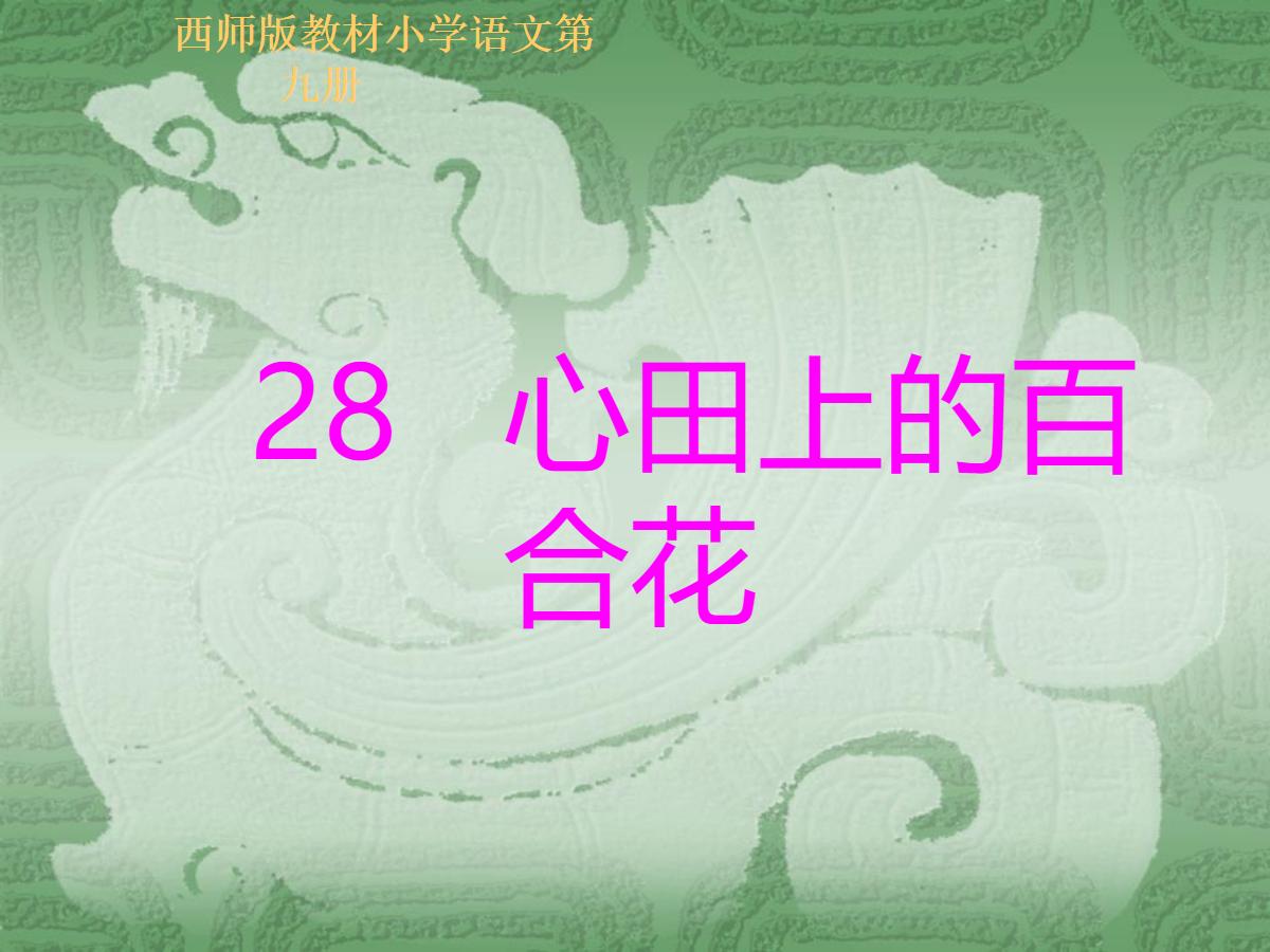 《心田上的百合花》PPT课件