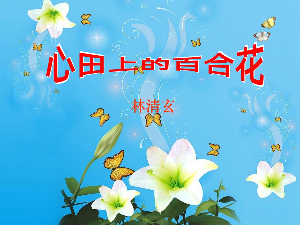 《心田上的百合花》PPT课件4