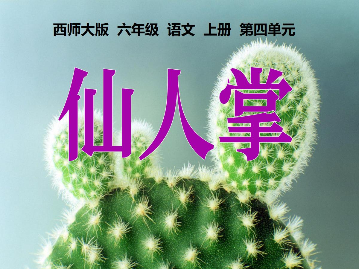 《仙人掌》PPT课件