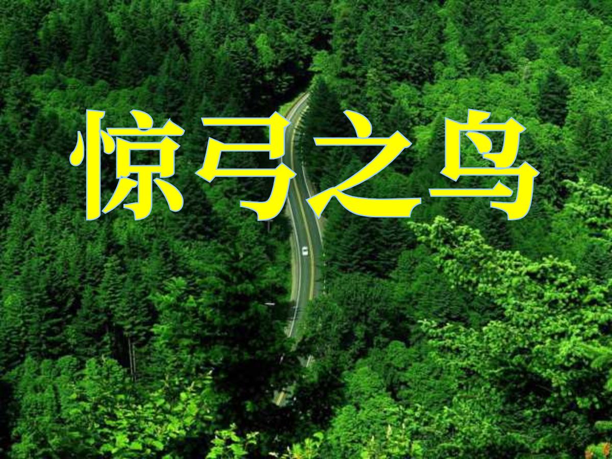 《惊弓之鸟》PPT课件4