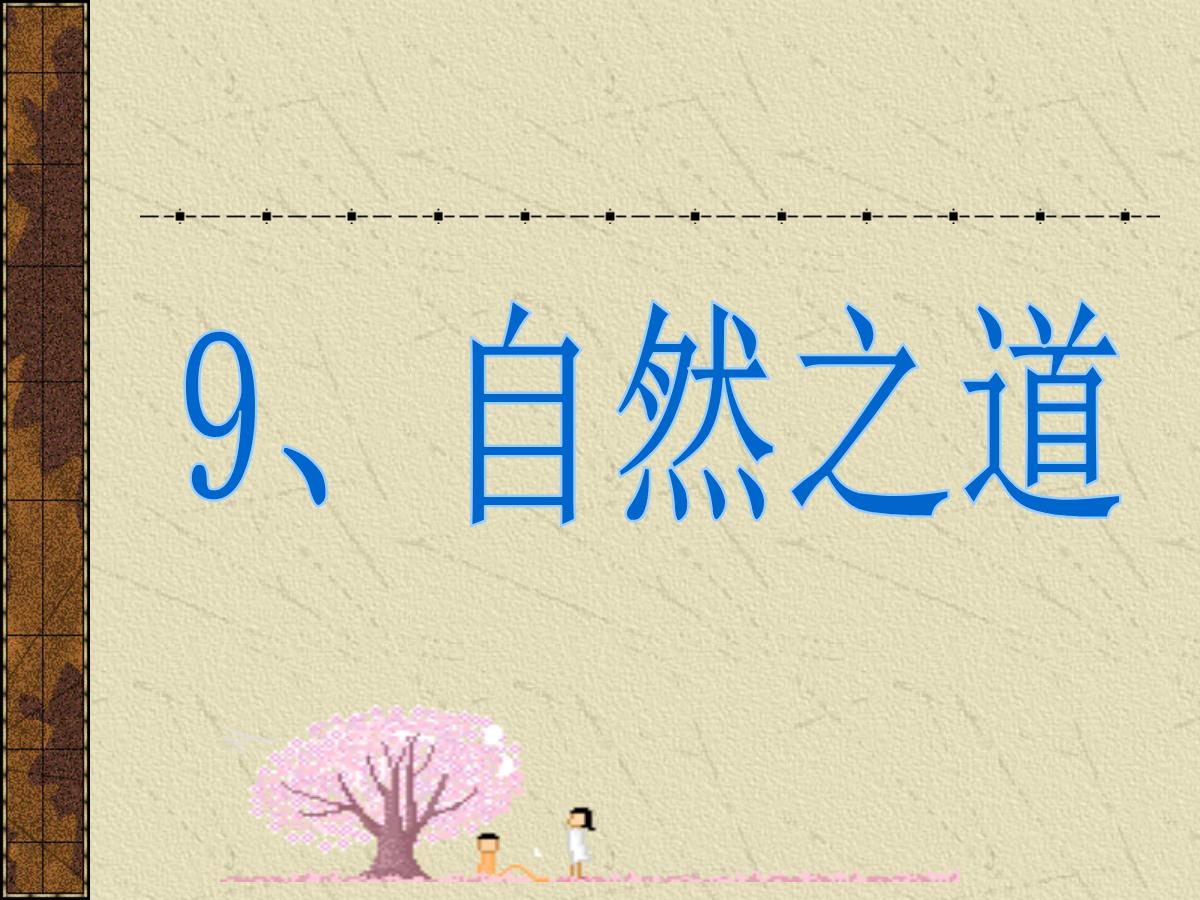 《自然之道》PPT课件6