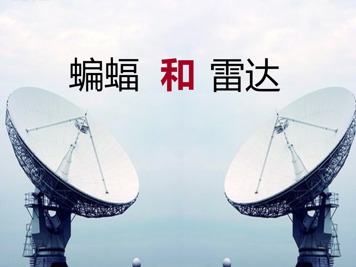 《蝙蝠和雷达》PPT课件5