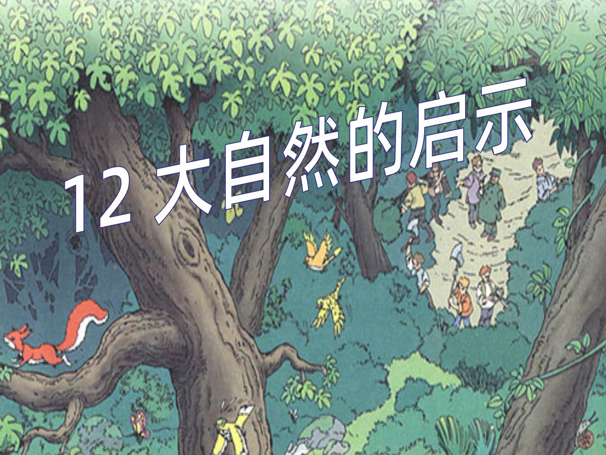《大自然的启示》PPT课件3