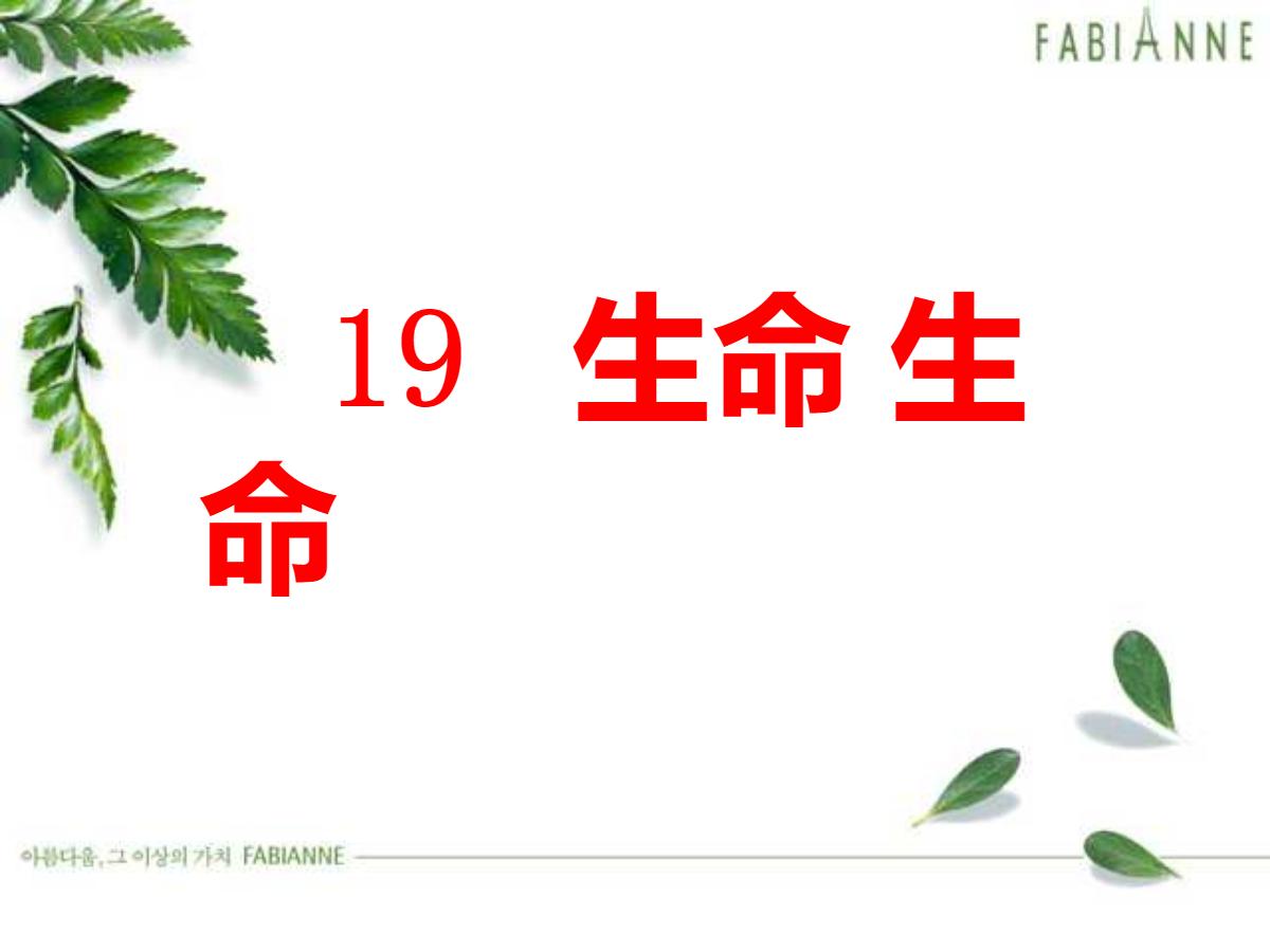 《生命生命》PPT课件4