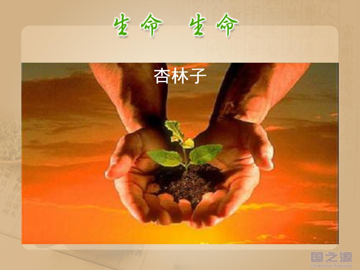 《生命生命》PPT课件6