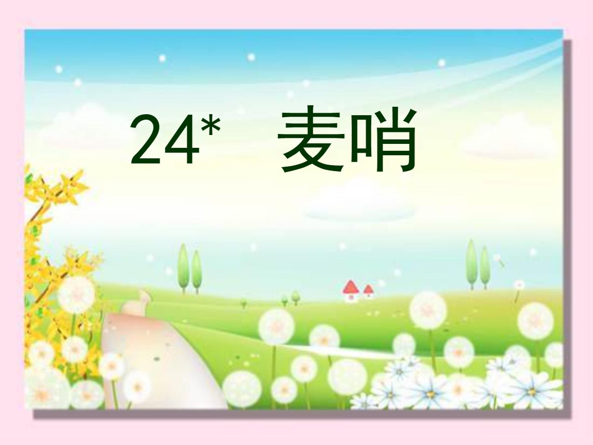 《麦哨》PPT课件4