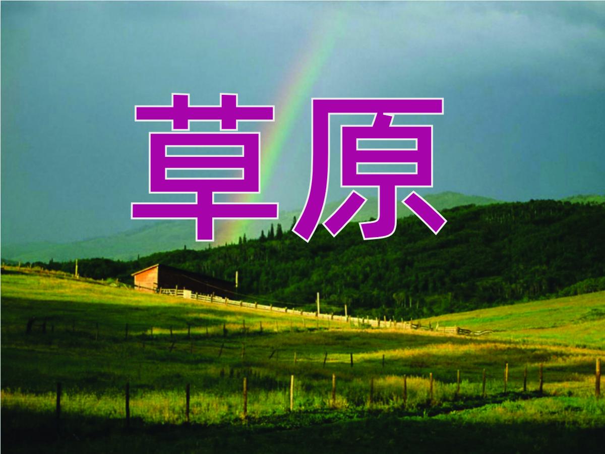 《草原》PPT课件6