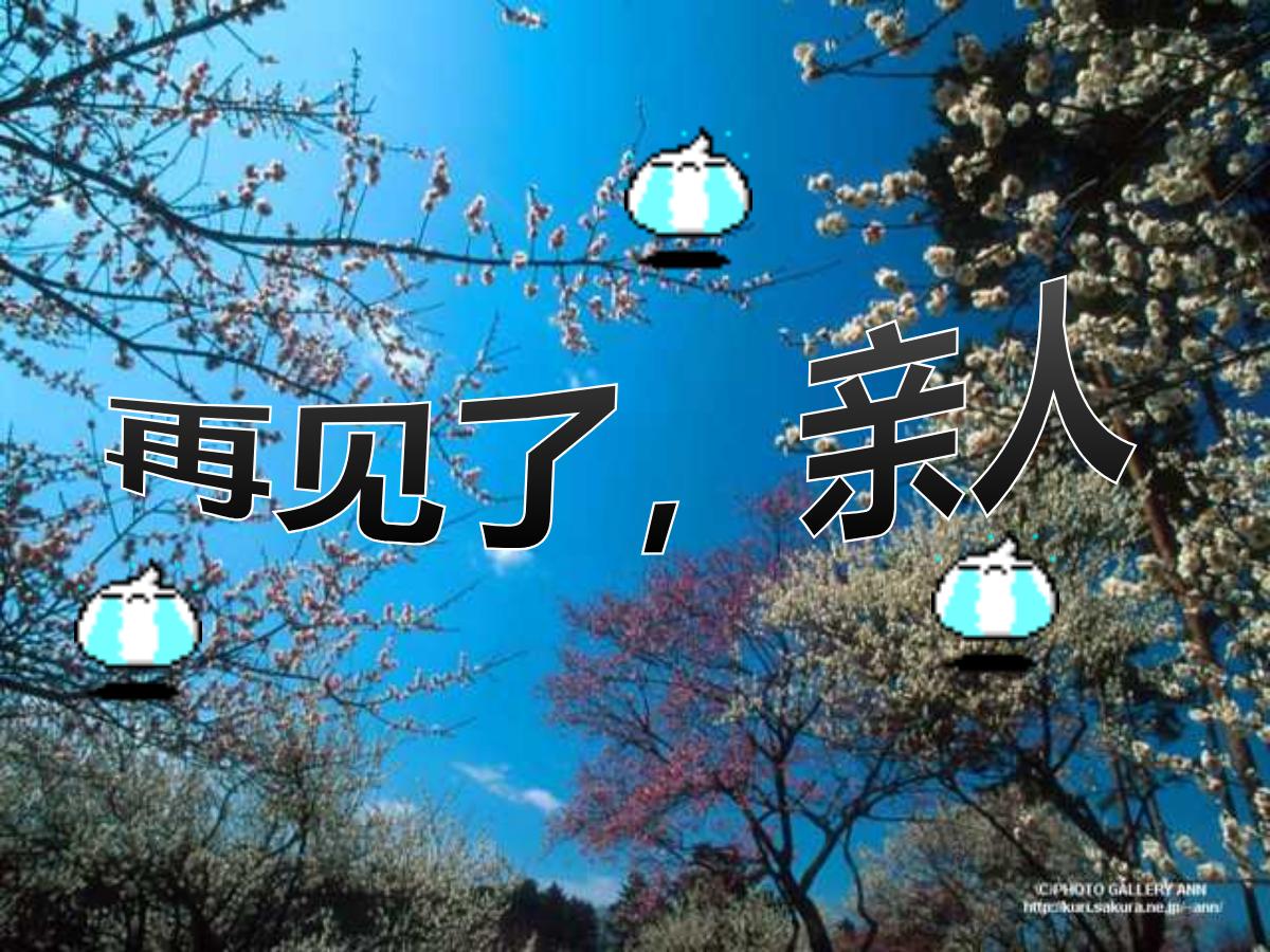 《再见了，亲人》PPT课件