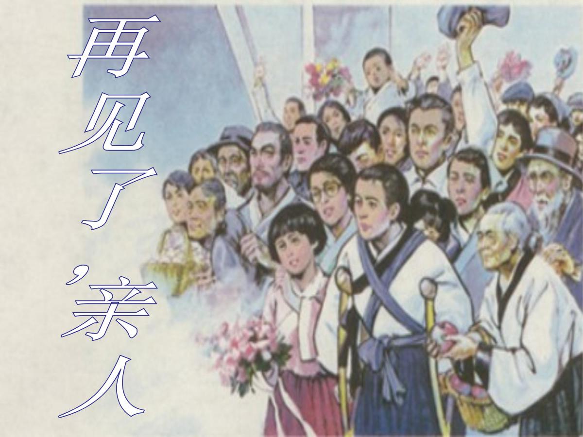 《再见了，亲人》PPT课件2