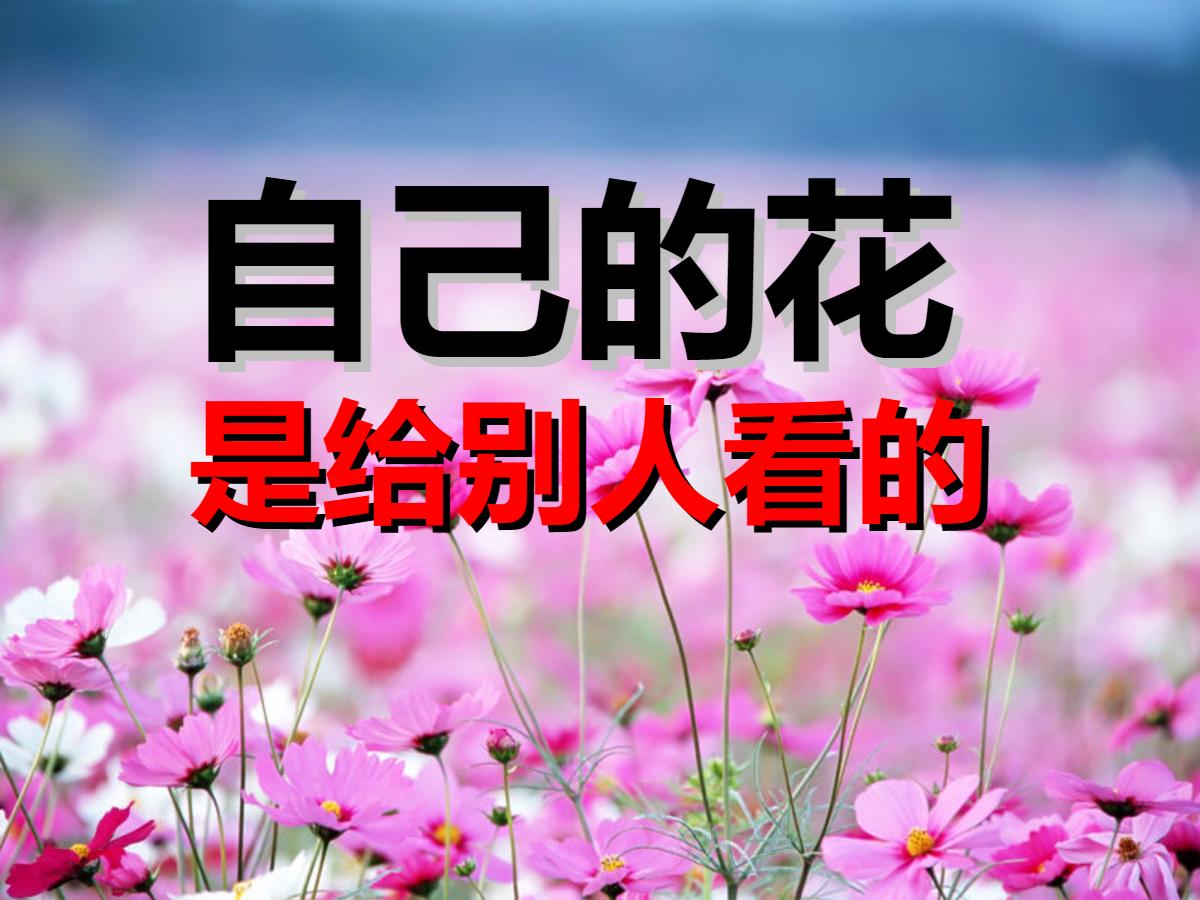 《自己的花是让别人看的》PPT课件6