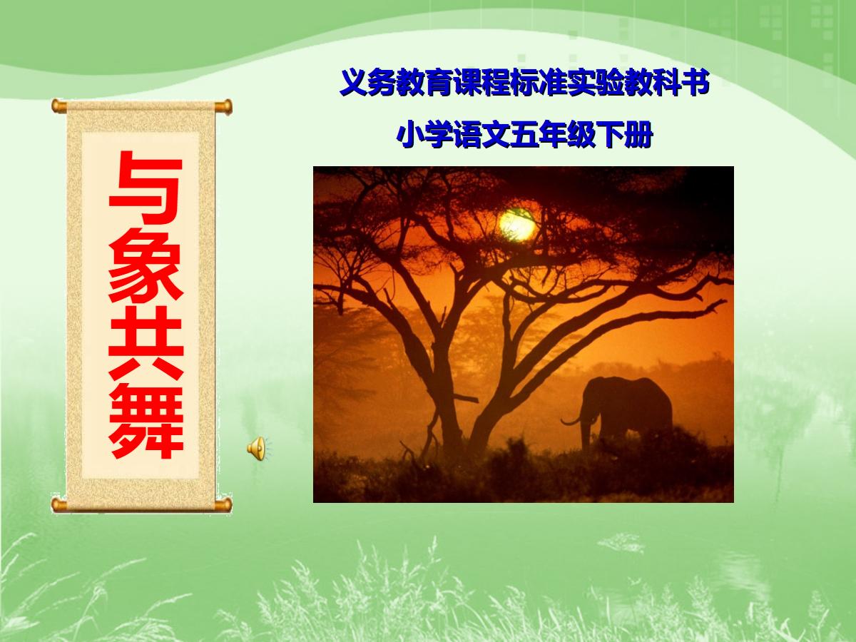 《与象共舞》PPT课件2