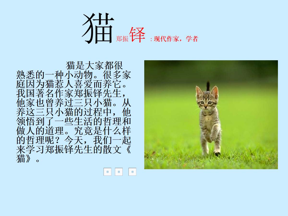 《猫》PPT课件2