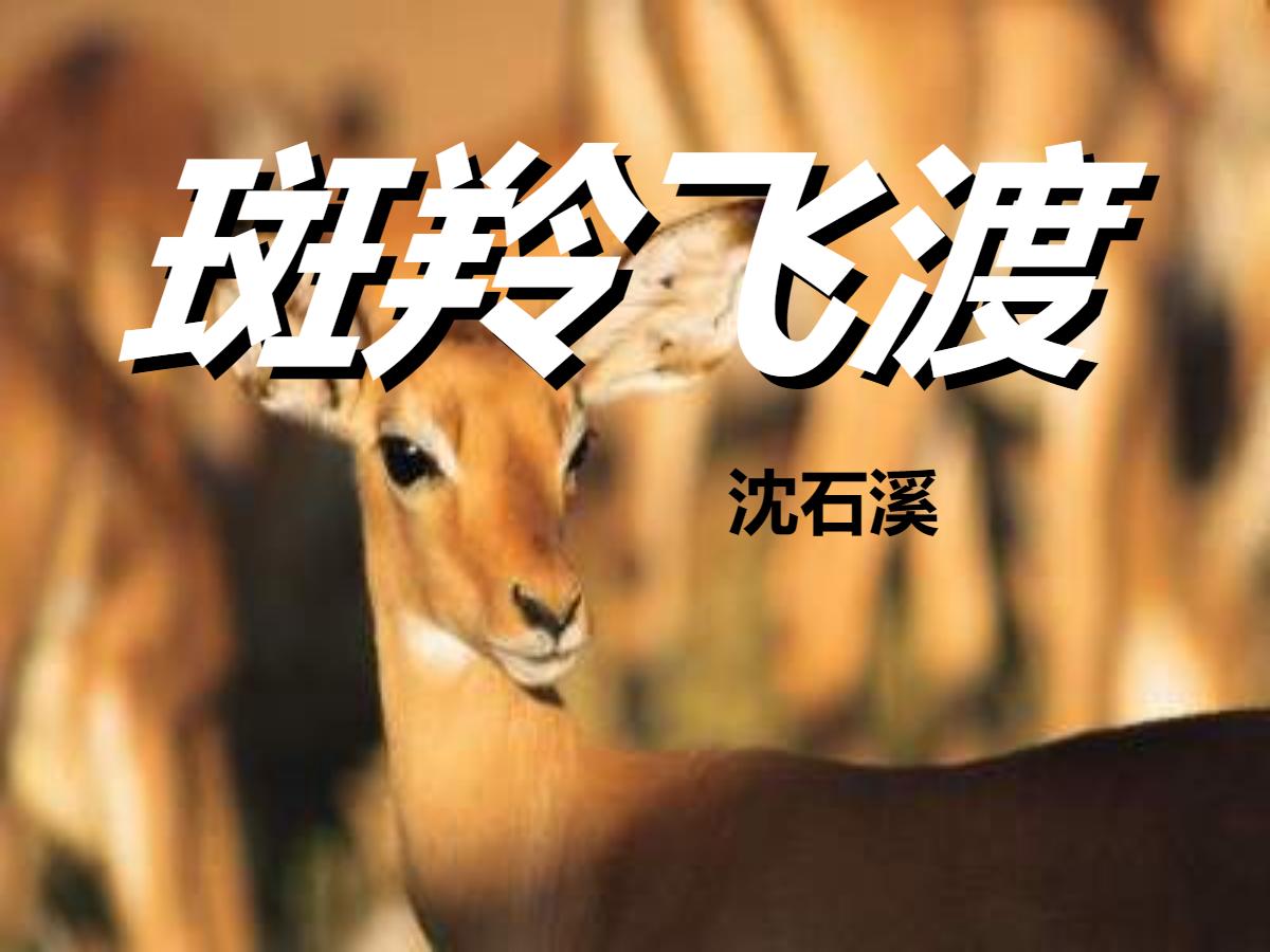 《斑羚飞渡》PPT课件3