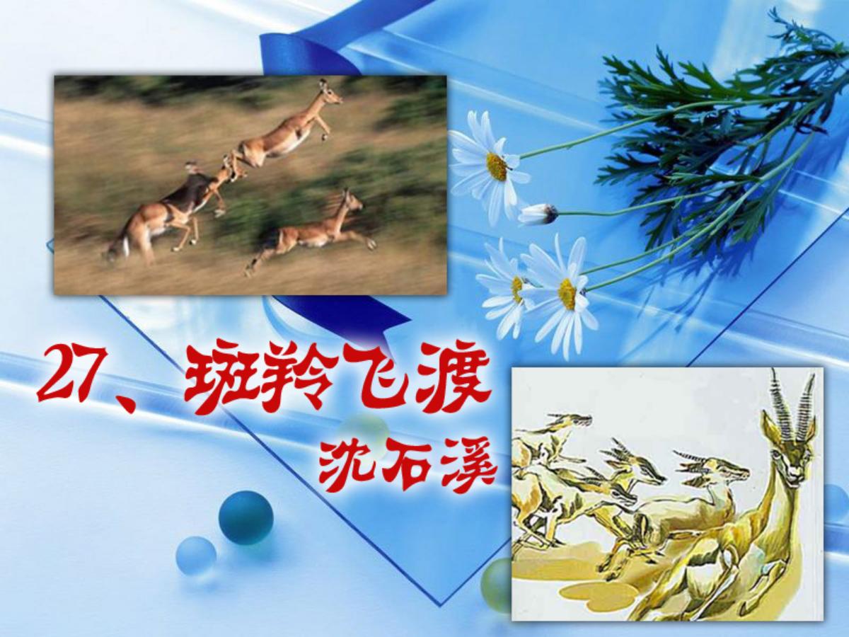 《斑羚飞渡》PPT课件5