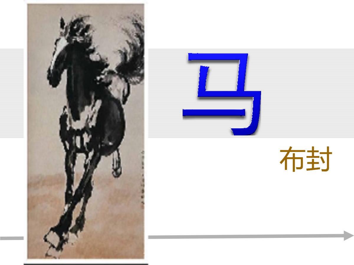 《马》PPT课件3