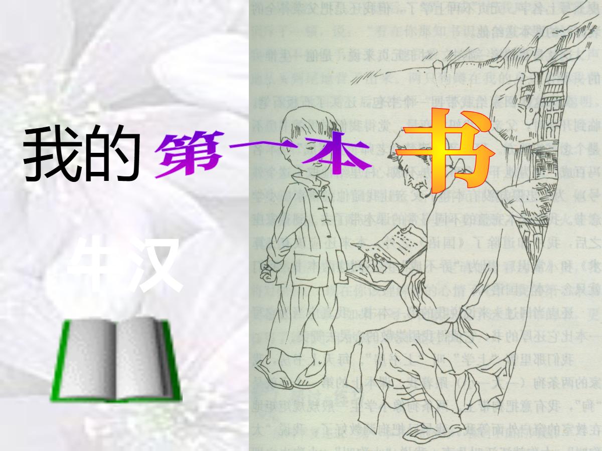 《我的第一本书》PPT课件4