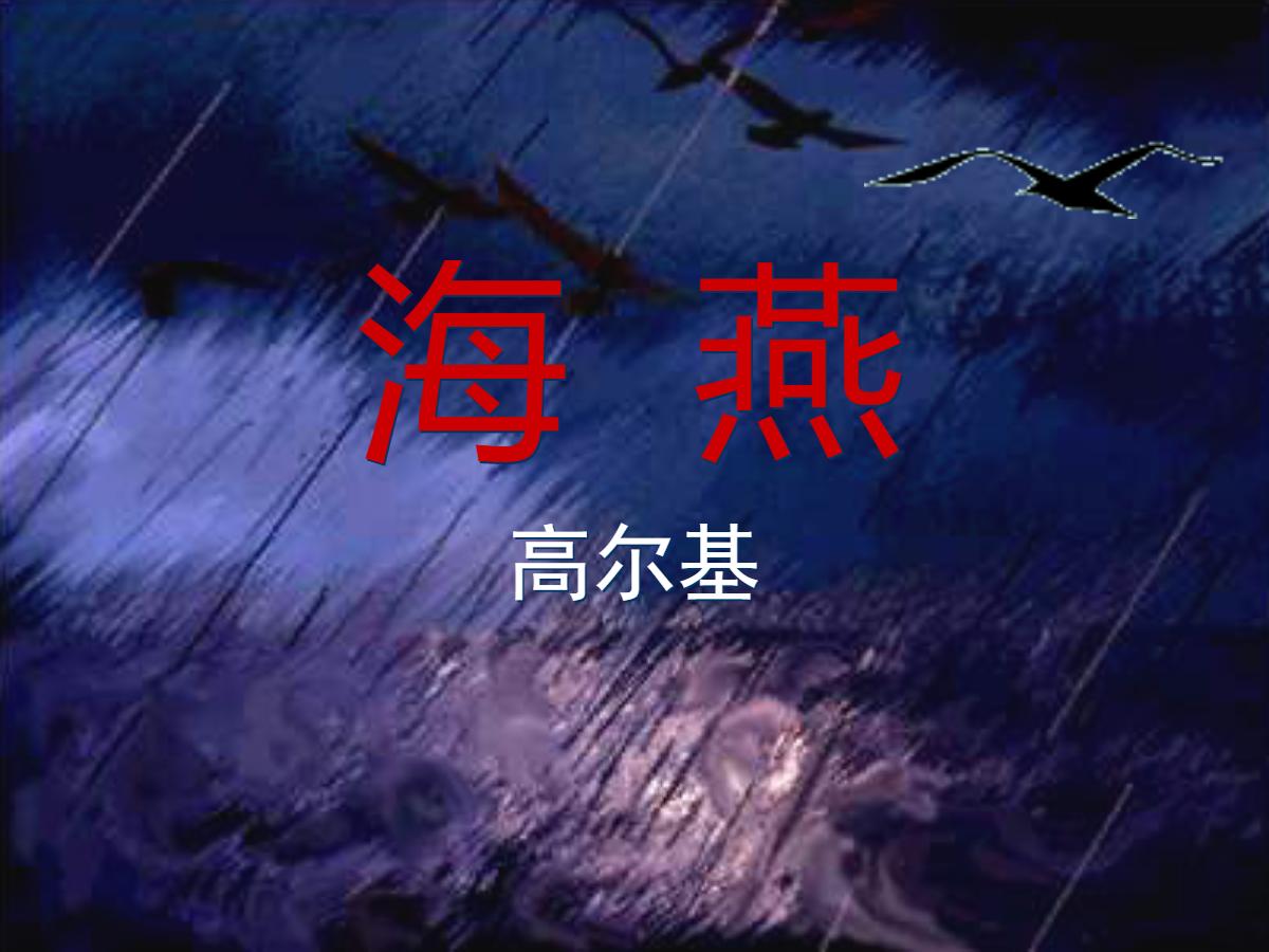 《海燕》PPT课件4
