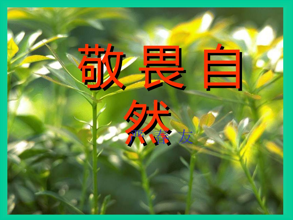 《敬畏自然》PPT课件2