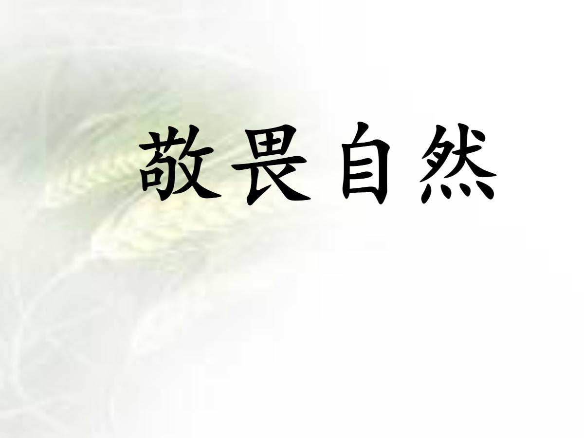 《敬畏自然》PPT课件5