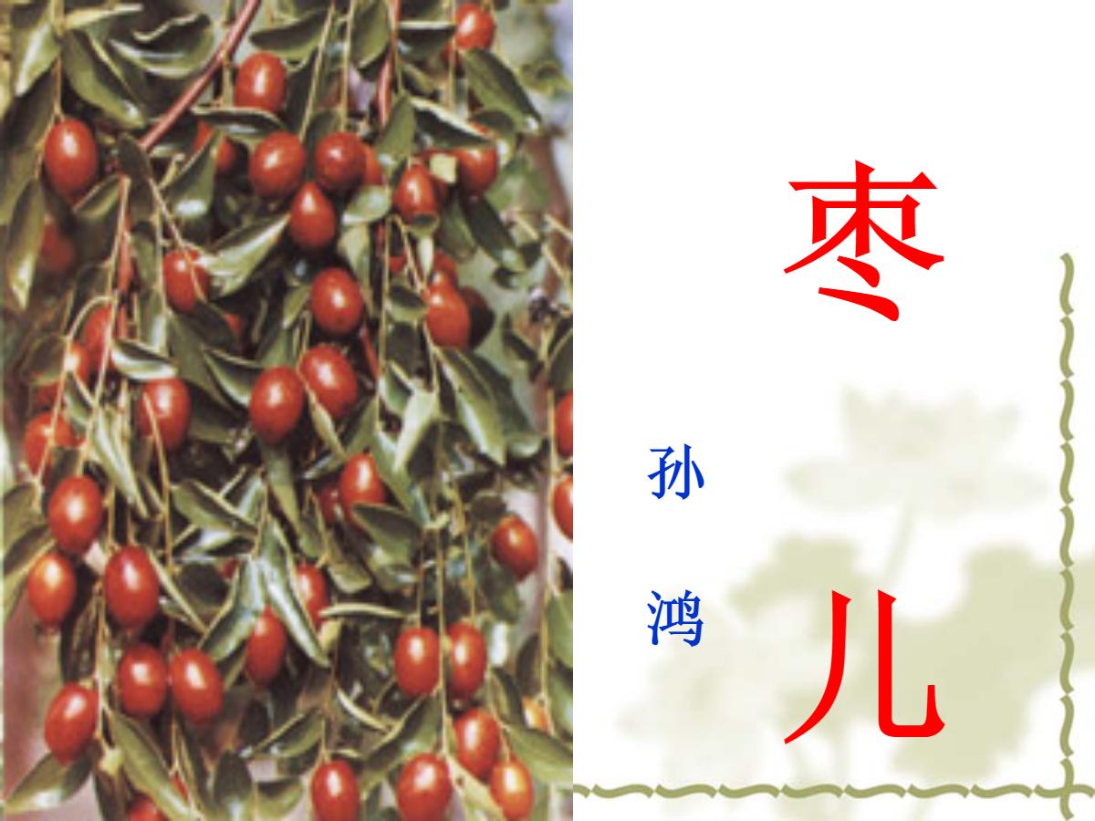 《枣儿》PPT课件3