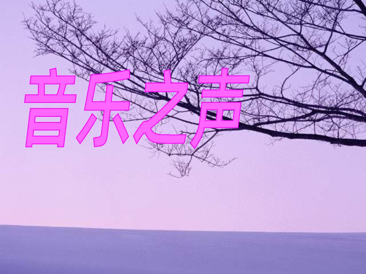 《音乐之声》PPT课件2