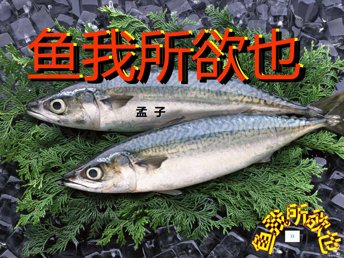 《鱼我所欲也》PPT课件