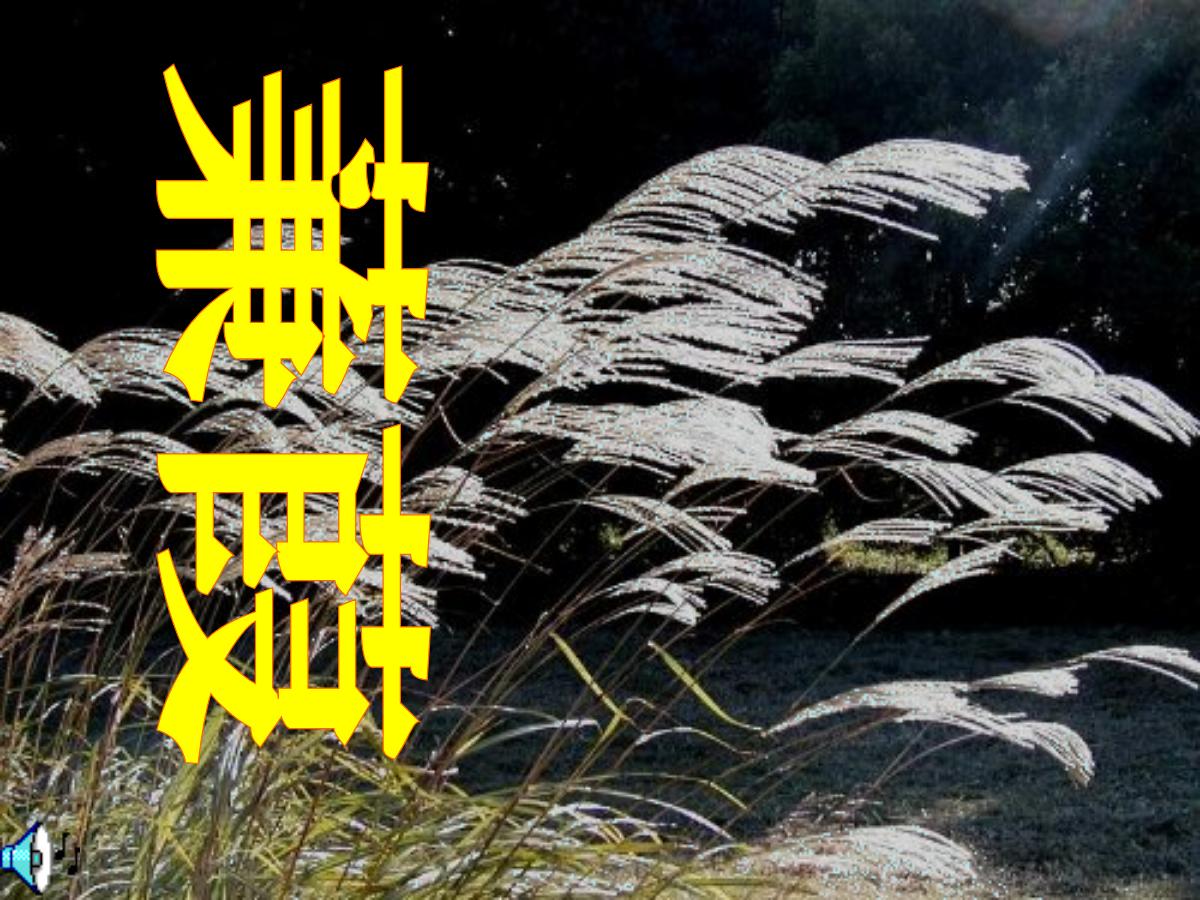 《蒹葭》PPT课件2