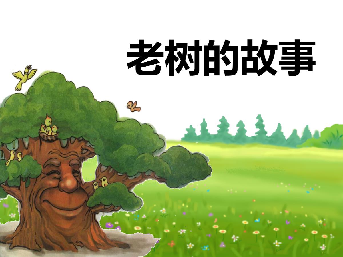 《老树的故事》PPT课件3