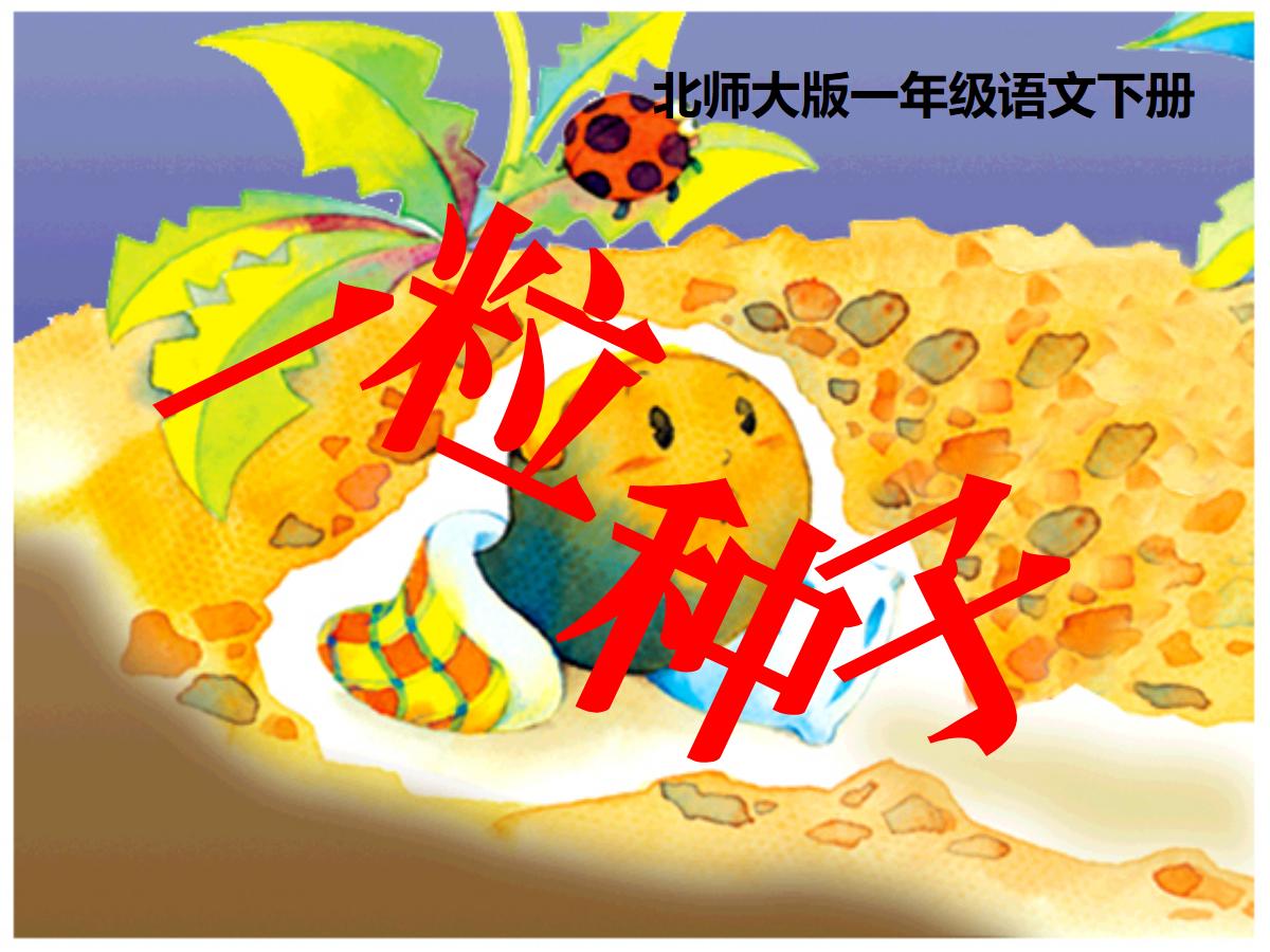 《一粒种子》PPT课件3