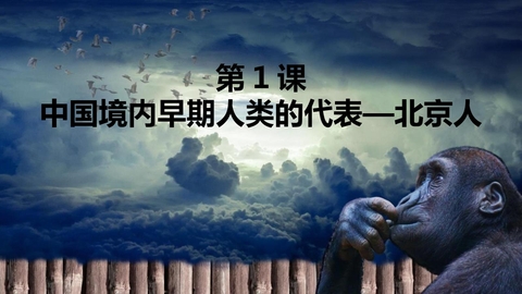 《中国早期人类的代表—北京人》PPT优秀课件下载