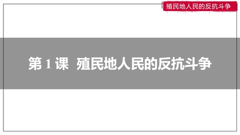 《殖民地人民的反抗斗争》PPT优质课件下载
